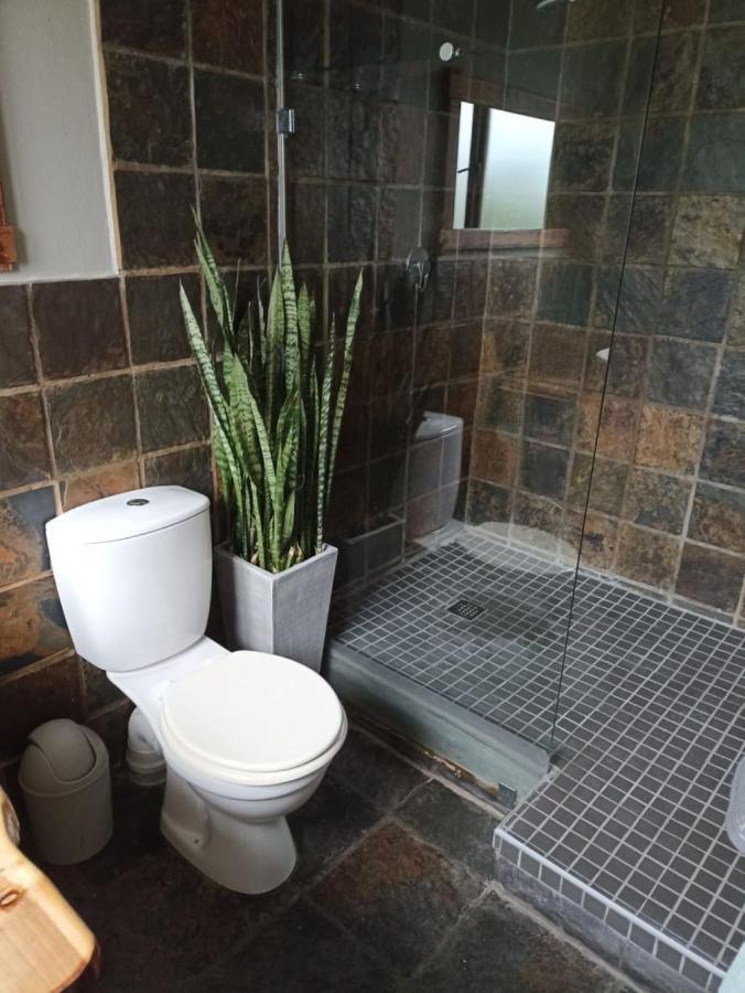 Fijnbos Guesthouse Knysna Zewnętrze zdjęcie